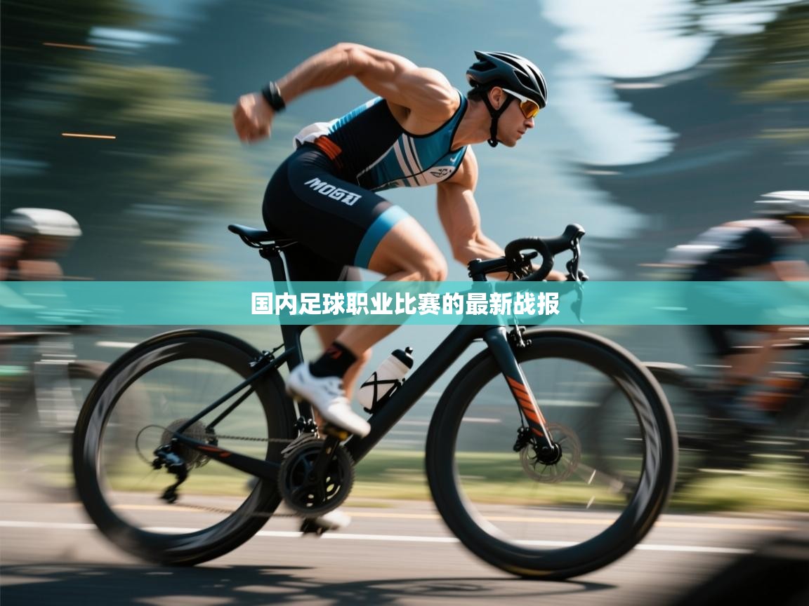 国内足球职业比赛的最新战报 第1张